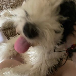 Meet your Posher, Emma